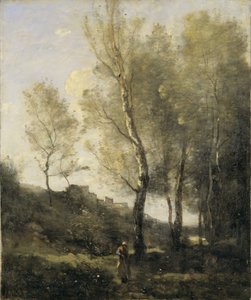 Landschap met Populieren