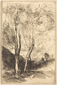 De kathedraal van Florence Le Dome florentin, ca. 1869-1870