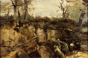 De rand van het Fontainebleau-bos