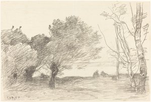Wilgen en Witte Populieren door Jean Baptiste Camille Corot