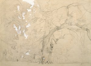Jonge man voor een grote eik, c.1840 door Jean Baptiste Camille Corot