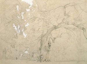 Jonge man voor een grote eik door Jean Baptiste Camille Corot