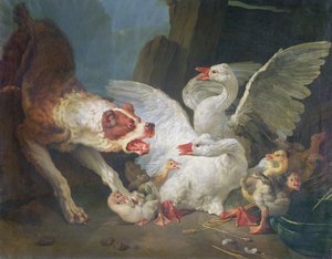 Een Hond die Ganzen Aanvalt