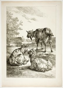 Plaat achttien van 38 uit Oeuvres de J. B. Huet door Jean Baptiste Huet