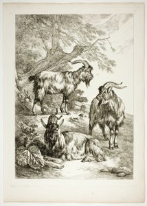 Plaat Zeventien van 38 uit Oeuvres de J. B. Huet door Jean Baptiste Huet