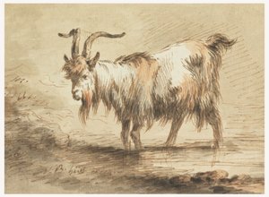 Tekening, Studie van een geit, 1772 door Jean Baptiste Huet