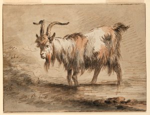 Tekening, Studie van een geit, 1772 door Jean Baptiste Huet