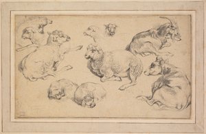Blad met studies van schapen, geiten en honden door Jean Baptiste Marie Huet