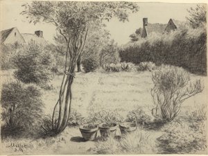 Zonnige Tuin