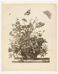 Blad 10, uit set van bloemen in een mand door Jean Baptiste Monnoyer
