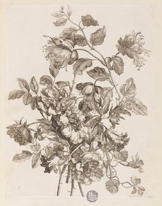 Plaat uit "Le Livre de toutes sortes de fleurs d