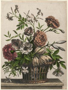 Goudsbloemen, enkele Anemoon, Jasmijn...