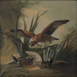 Een havik die op een paar eenden duikt door Jean Baptiste Oudry