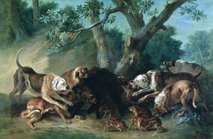 Een Wilde Zeug en haar Jongeren Aangevallen door Honden