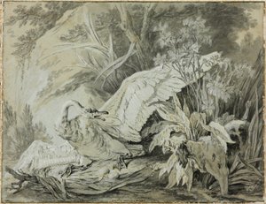 Een wilde zwaan aangevallen door een hond door Jean Baptiste Oudry