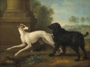 Misse en Luttine