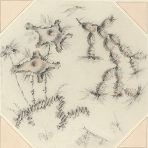 Bamboebloemen en Cactus door Jean Baptiste Pillement