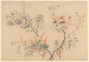 Tekening, Bloeiende takken, 1775-1800 door Jean Baptiste Pillement