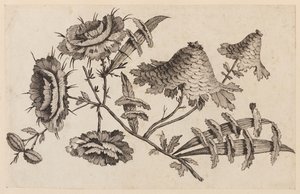 Bloementak, uit "Recueil de Fleurs Chinois" door Jean Baptiste Pillement