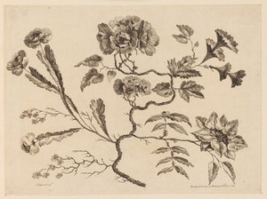 Bloemtakken, uit "Recueil de Differentes Fleurs de Fantaisie Dans le Goût Chinois" door Jean Baptiste Pillement
