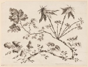 Bloementakken, uit "Recueil de Differentes Fleurs de Fantaisie Dans le Goût Chinois" door Jean Baptiste Pillement