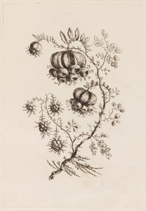 Bloementak, uit "Fleures Persannes" door Jean Baptiste Pillement