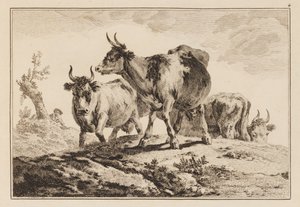 Blad 4, uit "Cahier de Six Feuilles de Boeufs et Vaches" door Jean Baptiste Pillement