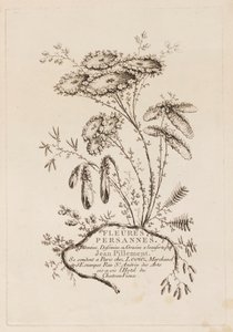 Titelpagina, uit "Fleures Persannes" door Jean Baptiste Pillement