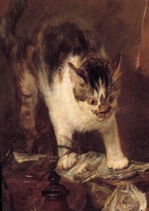 Het stilleven van vis, oesters, kruik. Kat (detail) door Jean Baptiste Simeon Chardin