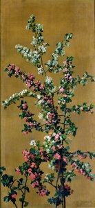 Japanse kersenboom en meidoorntakken