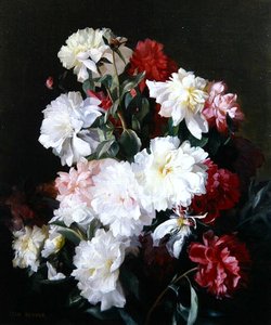 Stilleven van Bloemen