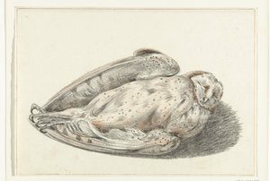 Dode uil door Jean Bernard