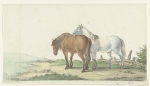 Een bruin en wit paard op een weg naast een hek