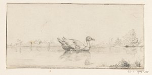 Eend in het water door Jean Bernard
