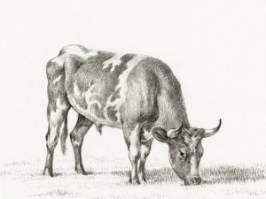 Weidende stier door Jean Bernard