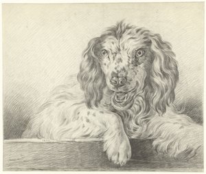 Hond door Jean Bernard