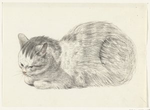 Liggende kat, naar links door Jean Bernard