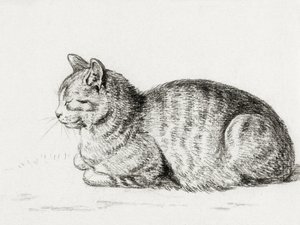 Liggende kat (1811) door Jean Bernard