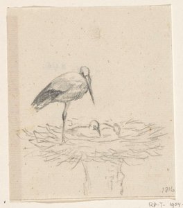 Ooievaar op nest door Jean Bernard