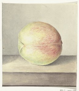 Perzik