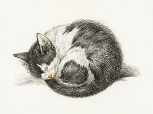 Opgerolde, liggende, slapende kat (1825) door Jean Bernard
