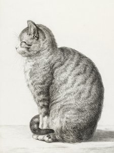 Zittende kat (1815) door Jean Bernard