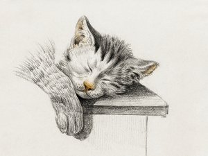 Schets van een slapende kat door Jean Bernard