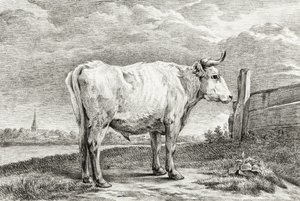 Standing Bull (1817) door Jean Bernard
