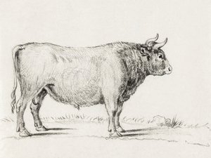 Standing Bull door Jean Bernard