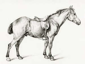 Staand paard door Jean Bernard (1775–1883) door Jean Bernard