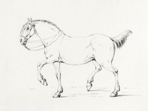 Stepping Horse (1775–1833) door Jean Bernard