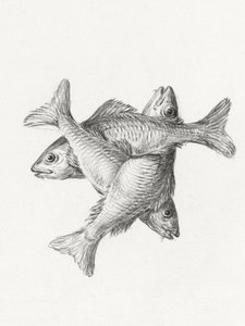 Three Fishes (1775–1833) door Jean Bernard
