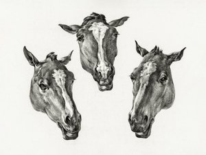 Drie paardenkoppen (1812) door Jean Bernard