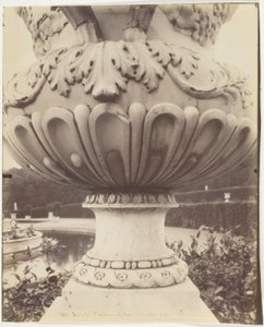 Versailles, Vaas door Jean Eugène Auguste Atget